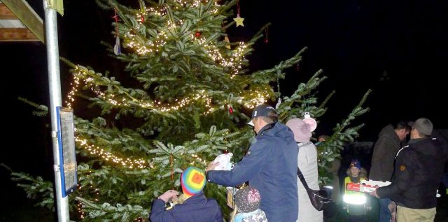 Der Weihnachtsbaum wird aufgestellt und geschmückt.